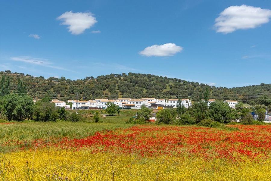 Casa Rural Nacimiento del Huéznar - Tomillo 17 San Nicolás del Puerto Esterno foto